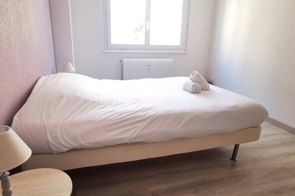 Appartement F2 Cosy Proche Centre Strazburg Dış mekan fotoğraf