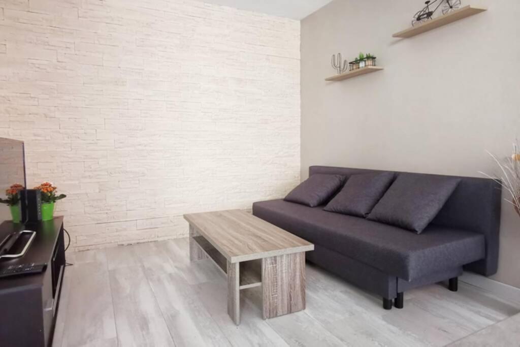 Appartement F2 Cosy Proche Centre Strazburg Dış mekan fotoğraf